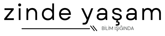 Zinde Yaşam
